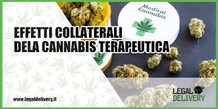 Mi ero ricordato della mia nuova prescrizione medica, ed ero comunque in città per comprare del cibo per il mio gatto, felix. Cannabis Medica Effetti Collaterali Legaldelivery Blog