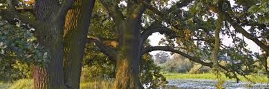 Augustów is a city in poland. 10 Best Augustow Hotels Poland From 30