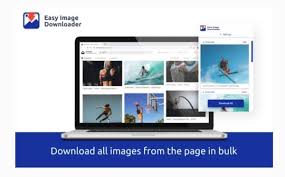 Jpg, png, gif, svg, webp, base64, etc. 5 Best Image Downloader Extensions For Google Chrome