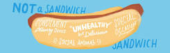 Why a hotdog is a sandwich?