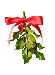 Mistletoe Is A Parasite Yes Mistletoe Is A Poisons Parasitic Plant Not Exactly Arousing So Why Are We All So Under The Mistletoe Mistletoe Fragrance Oil