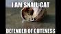 Cute Cats Drawings