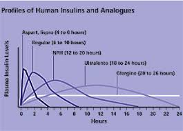 Insulin Peak Action Chart Range Of Insulin Preparations