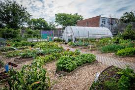 What is a community garden definition. What Is A Community Garden And Should You Join One Allrecipes