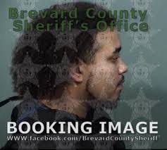 Daniel Grala's Instagram, Twitter & Facebook