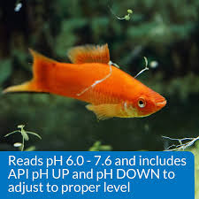 Small Salt Water Aquarium Designed For Use In Freshwater Aquariums Only In 2020 Salt And Water Aquarium Design Saltwater Aquarium