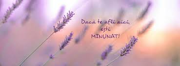 The latest tweets from facebook (@facebook). Poze De Coperta Ladygaga