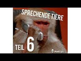 Madlipz Com Whatsapp Lustige Sprechende Tiere 6 Deutsch Youtube Sprechende Tiere Whatsapp Lustig Tiere