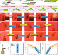 Visible and infrared three-wavelength modulated multi ...