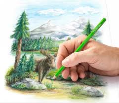 Tutorial de dibujo de un arbol para niños. Mejores Lapices De Colores Para Dibujo 2021
