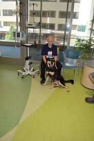 We did not find results for: Hospitals Reunite Patients With Their Pets For Comfort Healing