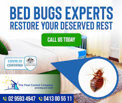 Bed bugs interceptors were created by ecopest labs, the company known for the products that help to get rid of bed bugs. Best Bed Bug Pest Control In Sydney The Pest Control Company