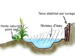 Bassin En Pente Bassin De Jardin Jardin En Pente Plan Jardin
