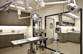 Veterinary Hospital Design Animal Shelter Design Veterinary Hospital Hospital Design Veterinary Clinic