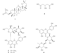 Image result for Celosia trigyna