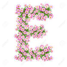 Ariel skelley / getty images an alphabet is made up of the letters of a language, arranged. Letter E Alphabet With Zinnia Flower Abc Concept Type As Logo Typography Design Stock Photo Picture And Royalty Free Image Image 40321151