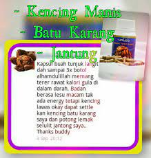 Rasanya yang teramat pahit dan sifat alkalinya dapat membuatkan sistem perdarahan. Testimoni Kapsul Buah Tunjuk Langit Ndlife