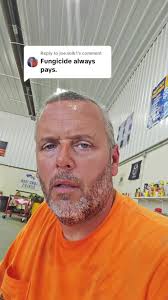 Engaging Farming Moments with Dogs