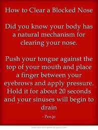 Pin By Heather Schroeder On Remedies Stuffy Nose Remedy Home Health Remedies Health Remedies