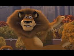 One day, when he was a young cub, alakay was being given. Alex The Lion Youtube