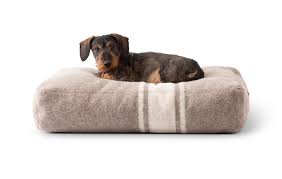 Check spelling or type a new query. Elliott Recycled Wool Dog Cushion Luxury Dog Bed Cushion 2 8 Design For Dogs Dimension L 70x90 Cm Personalization No Color Natural White