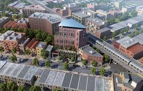 Image result for Crateva eminens