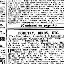 Top angebote für küche & haushalt.kostenlose lieferung möglich 22 May 1940 Advertising Trove