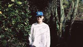 Gnash