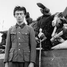 Befreiung des KZ Bergen-Belsen: Briten stoßen aufs Grauen | NDR.de -  Geschichte - Chronologie - Kriegsende