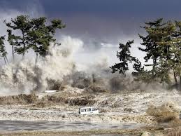 Thanxfor copyright matters please contact us at: Tsunami Could Hit Australia Experts Warn Of 60m High Wave