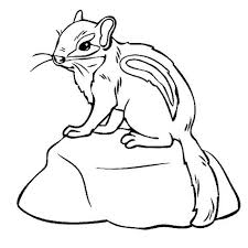 Baby Chipmunk Coloring Page Animal Coloring Pages Animal Coloring Books Animal Embroidery