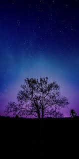 Alhamdulillah, akhirnya saya bisa mengumpulkan 101 wallpaper gambar islami ini. Tree Galaxy Sky Silhouette 1080x2160 Wallpaper Galaxy Phone Wallpaper Night Sky Wallpaper Purple Galaxy Wallpaper