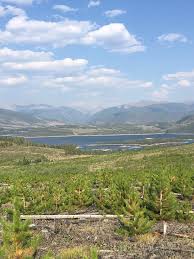 Profile for Cindy Barrow LCSW