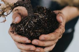 What do we call the best type of garden soil. Best Types Of Soil For Vegetable Gardens It S Garden Thyme