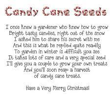 Candy Cane Seeds Poem Need To Change A Couple If Words Since Using Sugar Instead Of Snow Diy Christmas Table Christmas Candy Cane Christmas Treats