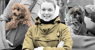 zoopsiholog mariya alekseeva v moskve sobak berut s soboj povsyudu no im eto ne nravitsya moskvich mag