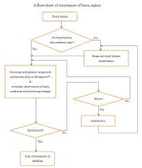 Overview Of Wound Healing In A Moist Environment