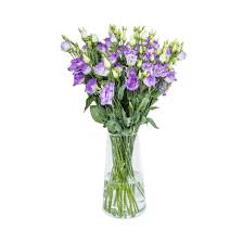Image result for eustoma lisianthus in vase