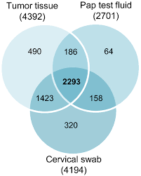 After a woman's periods have stopped, vaginal bleeding could be a sign of a health issue—including endometrial (uterine) cancer. Evaluation Of The Potential Of Pap Test Fluid And Cervical Swabs To Serve As Clinical Diagnostic Biospecimens For The Detection Of Ovarian Cancer By Mass Spectrometry Based Proteomics Clinical Proteomics Full