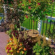 12 Garden Design Ideas Do S And Don Ts For 2021 Plant Design Group