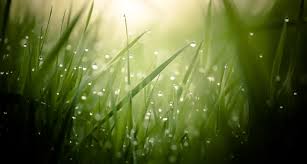 Best free png water drop transparent background , hd water drop transparent background png images, png png file easily with one click free hd png images, png design and transparent background with high quality. 28 Water Drop Wallpapers For Desktop Design Trends Premium Psd Vector Downloads