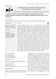 Image result for Neocussonia umbellifera