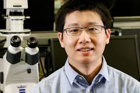 Early career faculty earn 14 National Science Foundation CAREER awards