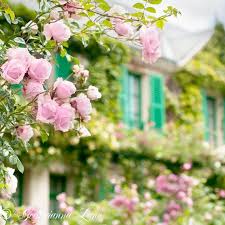 France Photo Monet S House Giverny Roses And Teal Shutters Wall Decor Romantic Floral Fine Art Travel Pho France Photography Fine Art Photographs Giverny
