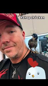 Chicks dig me....😏, #nocowhips #shopchicken