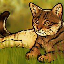 Serie enfant, serie thirteen, julianna, julie jardon age vraiment, ces séries et dessins animés ne manquent de rien. How To Draw An Anime Cartoon Kitty Step By Step Drawing Guide By Dawn Dragoart Com