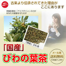 楽天市場 健康茶 国産 びわ茶 メール便送料無料 チャック付新鮮真空パック100g お茶 健康茶 ハーブティー 通販 通信販売 ネット販売 びわの葉茶 ビワ茶 枇杷茶 送料無料 お徳用 100ｇ オススメ 日光茶房