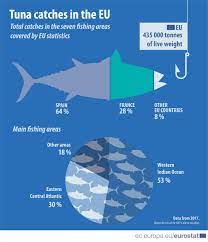 Tuna — tuna, are several species of ocean dwelling fish in the family scombridae, mostly in tunas are fast swimmers they have been clocked at 70 km/h (45 mph) and include several species that are. Tuna 10 Of Eu Catches Of Marine Fish In 2017 Products Eurostat News Eurostat