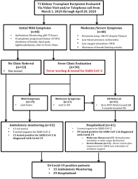 But pain in these areas is often unrelated to your kidneys. How And Why Covid 19 Targeted The Kidneys Advances In Nephrology Newyork Presbyterian