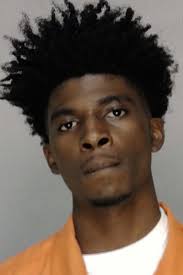 Man who killed brother, committed other grave offenses as a teen was  sentenced to 40 years